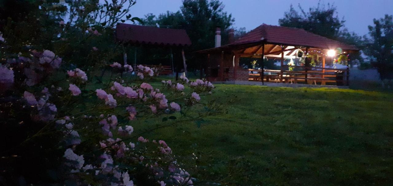 Pensiunea Agroturistica Ica Valea Draganului Luaran gambar