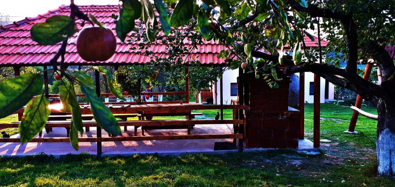 Pensiunea Agroturistica Ica Valea Draganului Luaran gambar