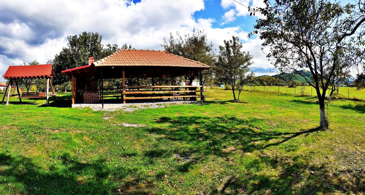 Pensiunea Agroturistica Ica Valea Draganului Luaran gambar