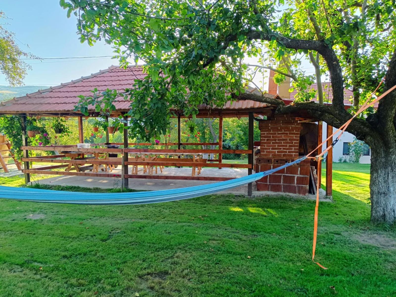 Pensiunea Agroturistica Ica Valea Draganului Luaran gambar