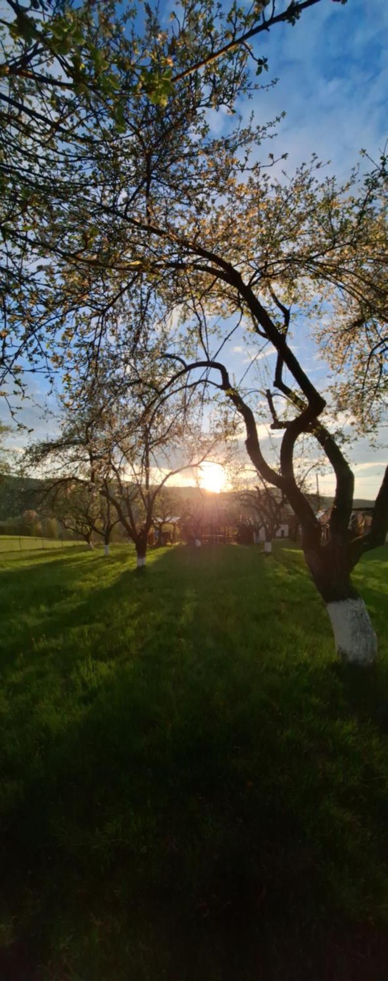 Pensiunea Agroturistica Ica Valea Draganului Luaran gambar